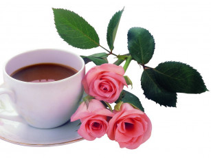 Картинка цветы розы