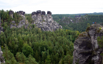 Картинка природа