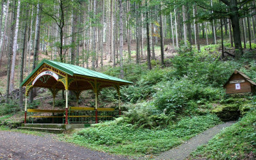 Картинка природа