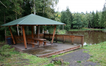 Картинка природа парк