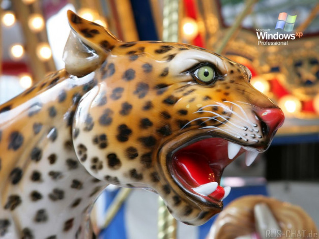 Обои картинки фото компьютеры, windows, xp