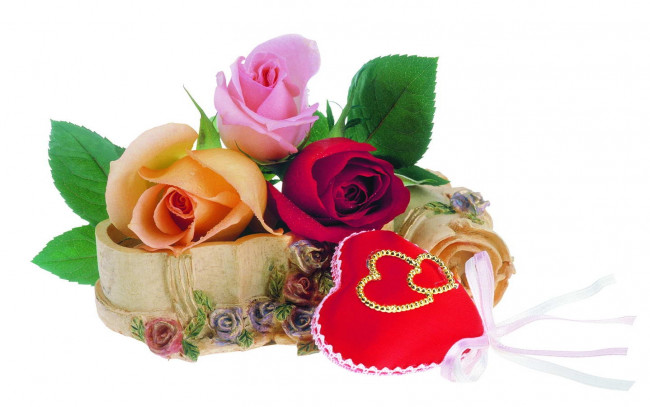 Обои картинки фото цветы, розы