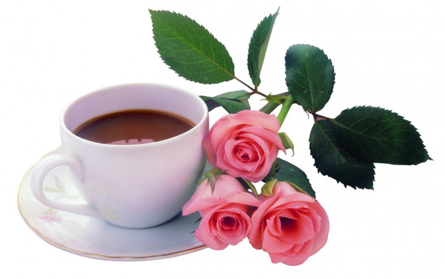 Обои картинки фото еда