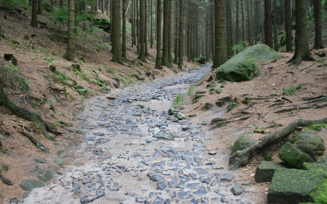 Обои картинки фото природа