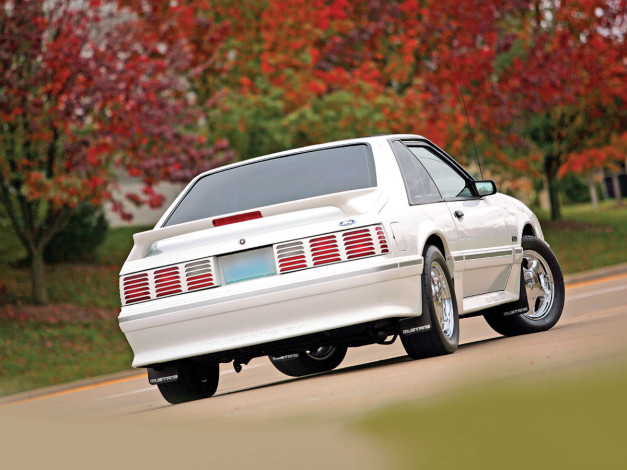 Обои картинки фото автомобили, mustang