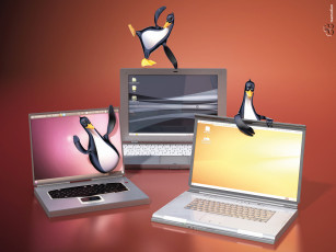 Картинка компьютеры linux