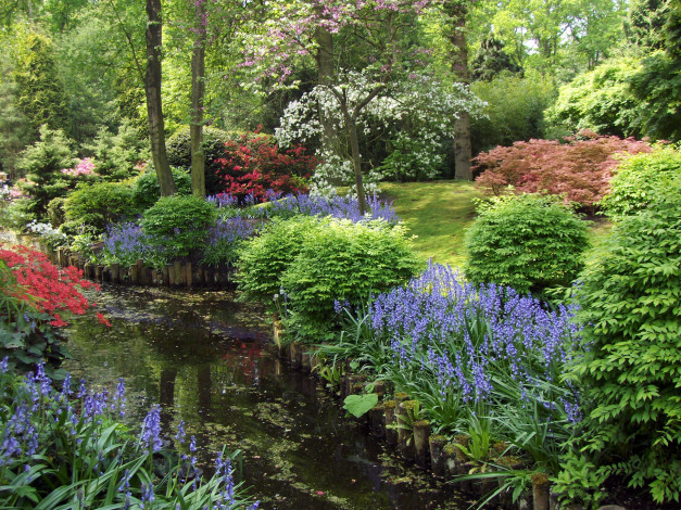 Обои картинки фото природа, парк, весна, ручей, цветы, деревья