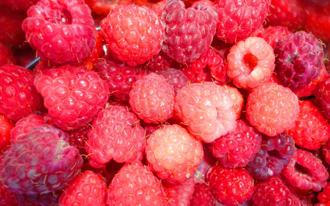 Обои картинки фото еда, малина, ягоды, лето