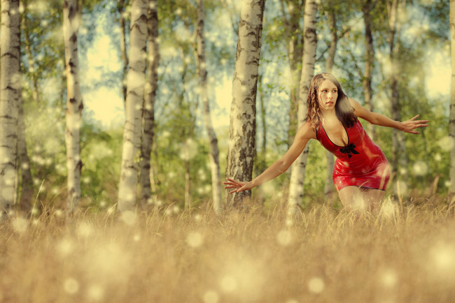 Обои картинки фото _Unsort -НЕ ВЫБИРАТЬ  , девушки, , не, выбирать, береза