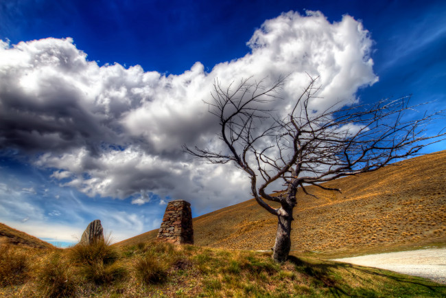 Обои картинки фото природа, деревья, небо, дорога, сухостой