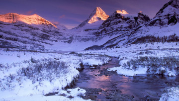 Картинка природа реки озера пики ручей снег трава горы