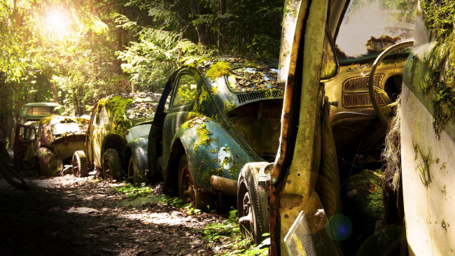 Обои картинки фото автосвалка, автомобили, фрагменты, автомобиля, старые, ржавые