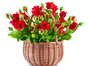 Картинка цветы розы бутоны розочки корзина