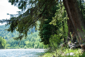 Картинка природа реки озера лес деревья река