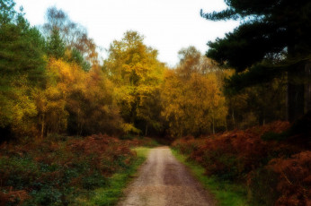 Картинка природа дороги sherbrook долина