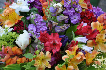 Картинка цветы разные+вместе пион альстромерия