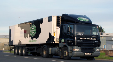 Картинка daf автомобили daf+ выставка улица nv тягачи седельные шасси автобусы нидерланды trucks