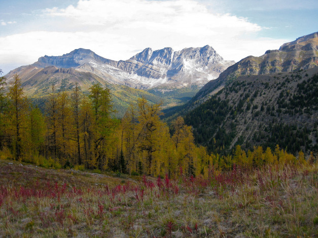 Обои картинки фото природа, горы, деревья