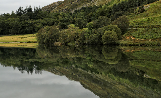 Обои картинки фото природа, реки, озера, вода, зелень