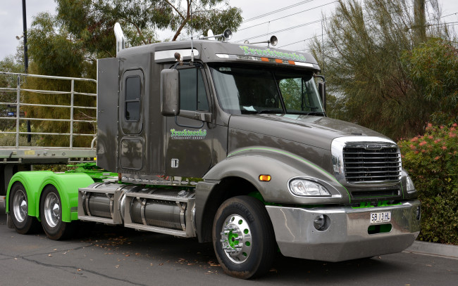 Обои картинки фото freightliner, автомобили, седельный, грузовик, тяжелый, тягач