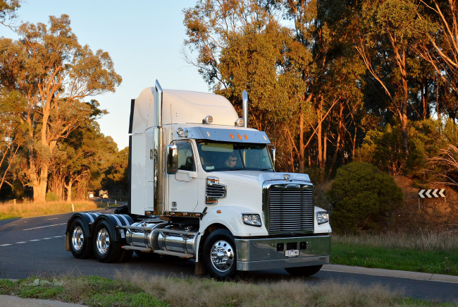 Обои картинки фото freightliner, автомобили, тягач, седельный, грузовик, тяжелый