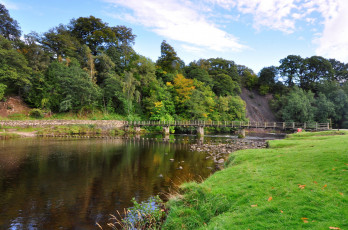 Картинка природа реки озера река лес