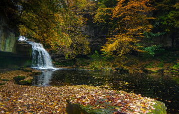 Картинка природа водопады лес река