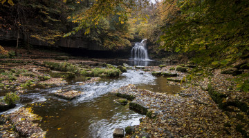 Картинка природа водопады лес река