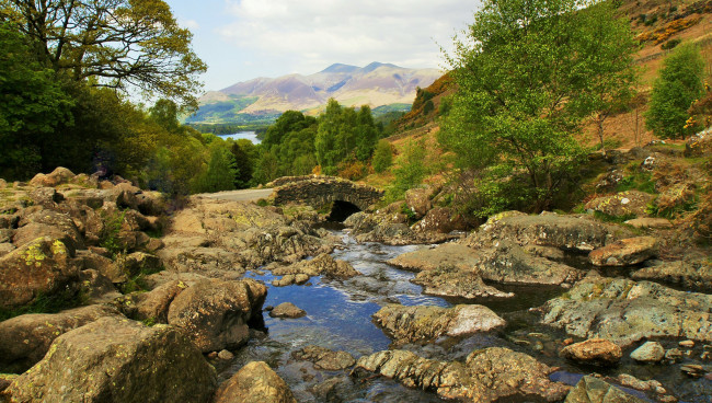 Обои картинки фото природа, реки, озера, река, лес