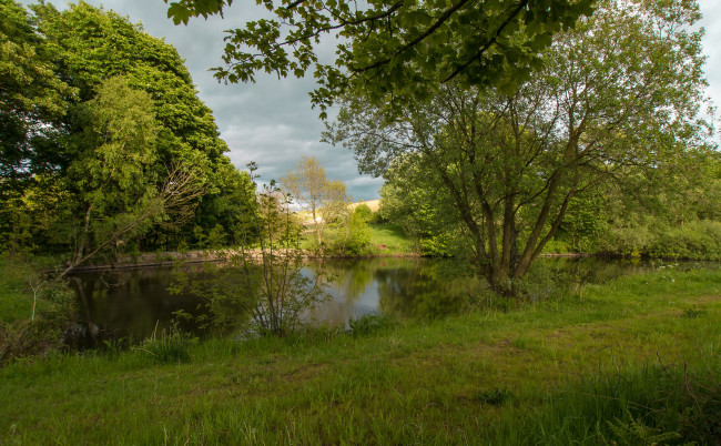 Обои картинки фото природа, реки, озера, лес, река