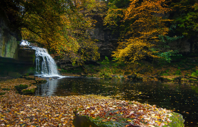 Обои картинки фото природа, водопады, лес, река
