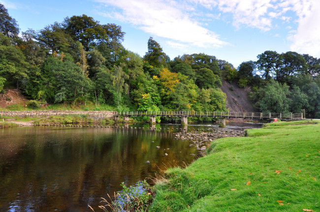 Обои картинки фото природа, реки, озера, река, лес