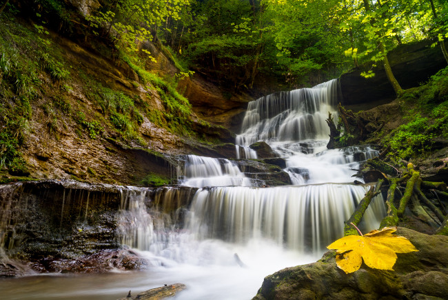 Обои картинки фото природа, водопады, водопад, река, лес