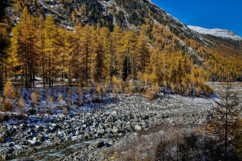 Картинка природа горы деревья