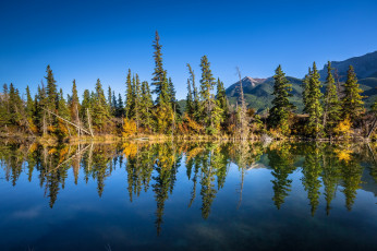 Картинка природа реки озера река лес