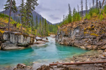 Картинка природа реки озера река лес