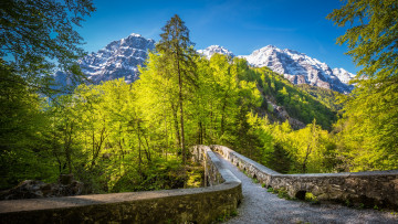 Картинка природа дороги тракт