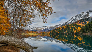 Картинка природа реки озера лес река