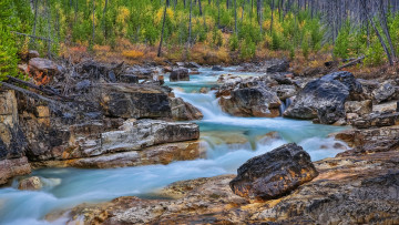 Картинка природа реки озера лес река