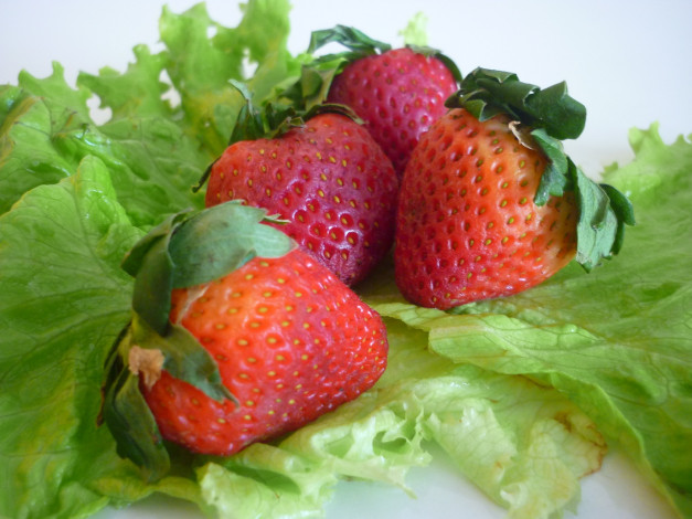 Обои картинки фото еда, клубника,  земляника, ягоды