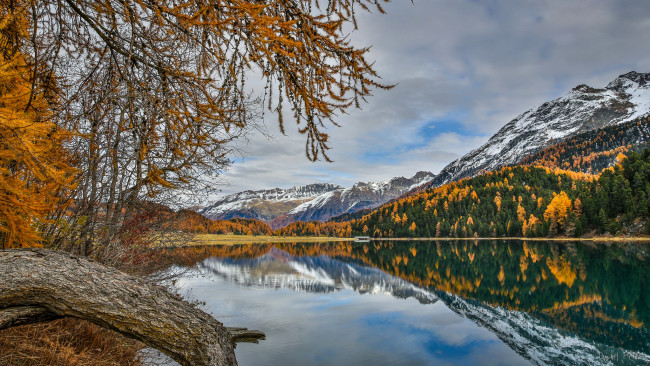 Обои картинки фото природа, реки, озера, лес, река