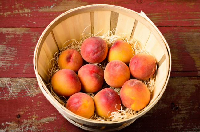 Обои картинки фото еда, персики,  сливы,  абрикосы, плоды