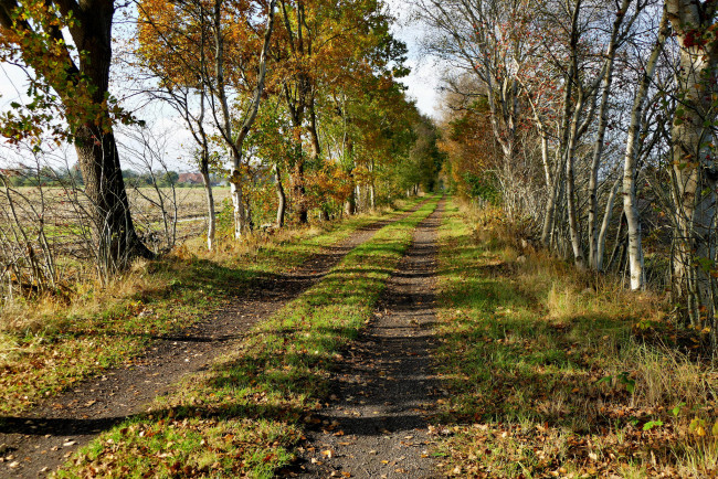 Обои картинки фото природа, дороги, тракт