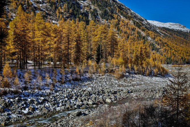 Обои картинки фото природа, горы, деревья