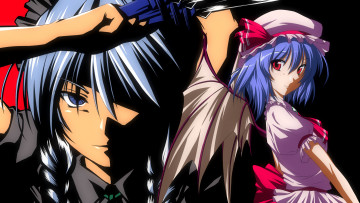 Картинка аниме touhou взгляд косы крылья девушки