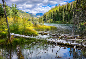 Картинка природа реки озера простор