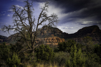 Картинка природа пейзажи простор