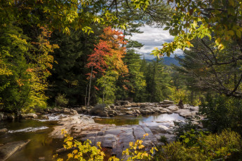 Картинка природа реки озера простор