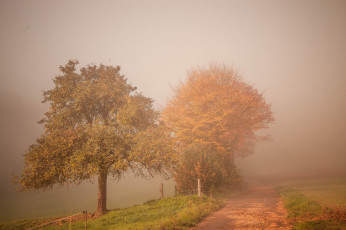 Картинка природа дороги простор