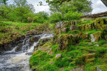 Картинка природа реки озера простор